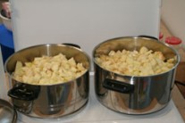 Apfel1103A